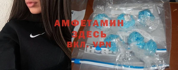 дмт Алексин