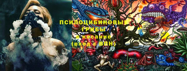 дмт Алексин