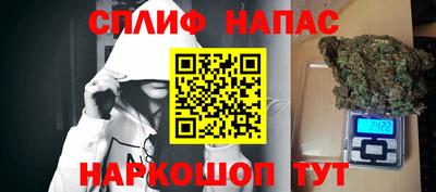 дмт Можайск